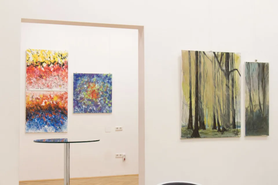 BURN-IN Exhibition: Moving Nature 3/2017 | Sonja Dolzer | Josefine Bleich | Isabelle Habegger | Renate Polzer