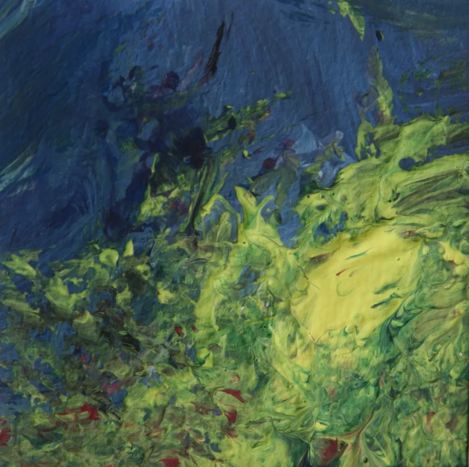 Forêt nocturne