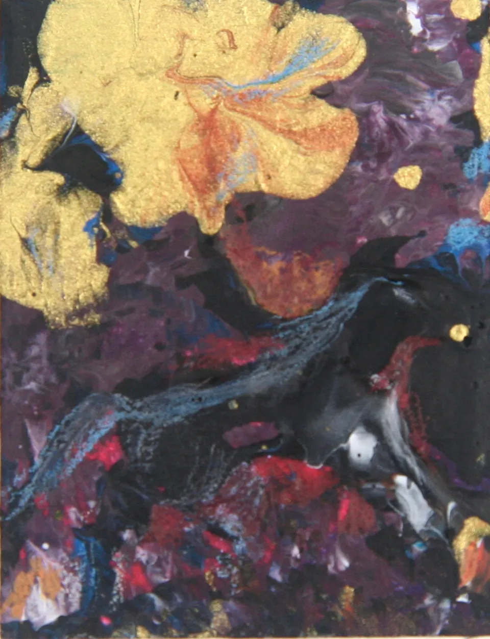 The Little Black Horse