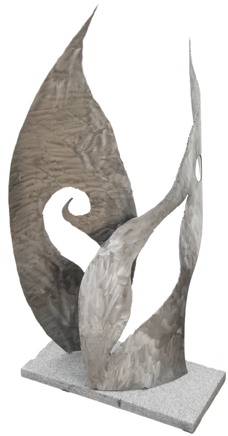 THE DANCE OF THE SEAWEED AND ITS LITTLE MORAY EEL