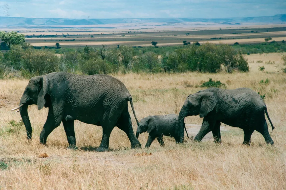 Kenya