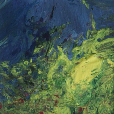 Night-time Forest