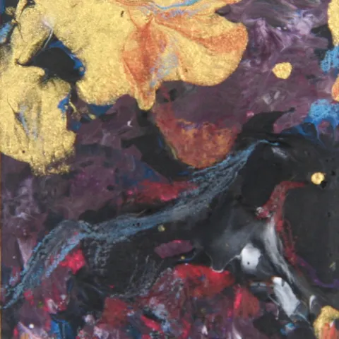 The Little Black Horse